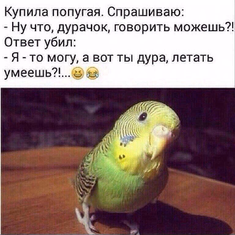4c76cdc808fe16de3ddebf30a8882e32.avif