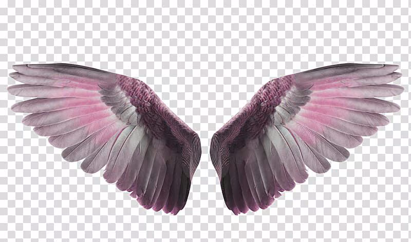 4c815036dbe5fb25c10726276a666ecb.avif
