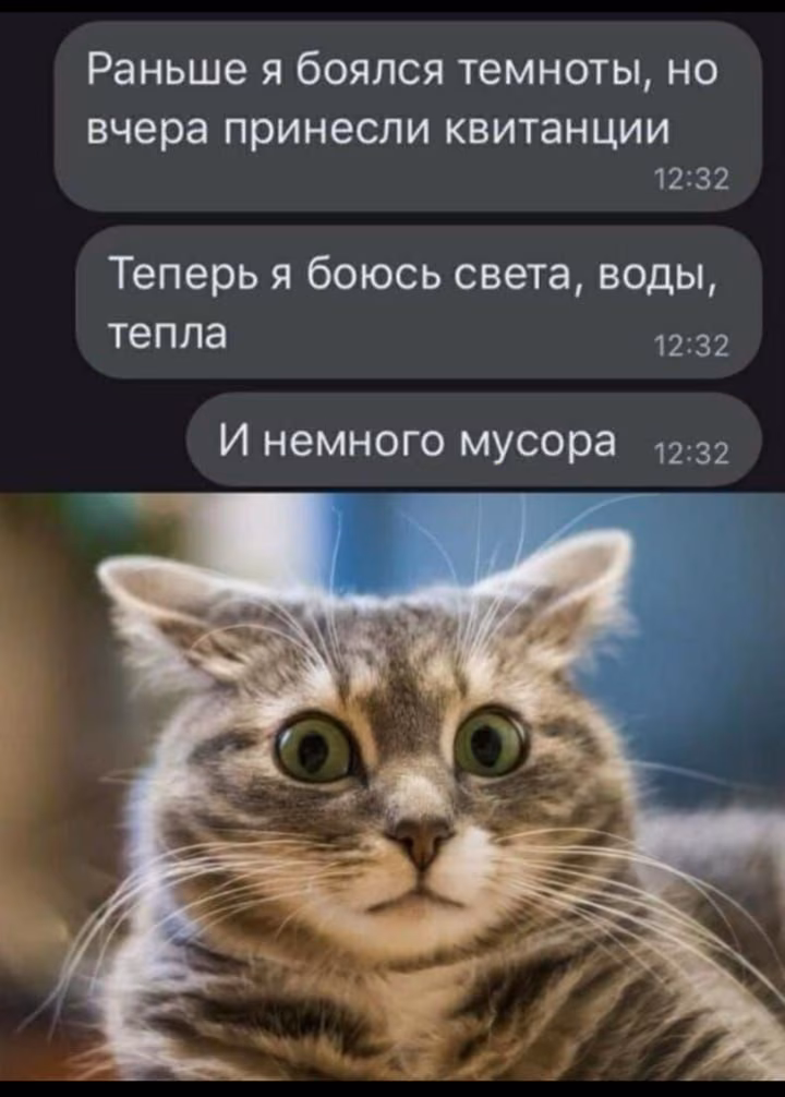 4c8c6757bd8e4e672e5a272f29b8e17a.avif