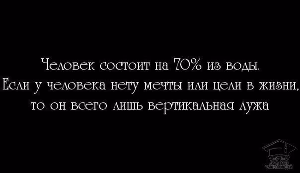 4c8fcbdf2e9e6419bb52631050cfd5d0.avif