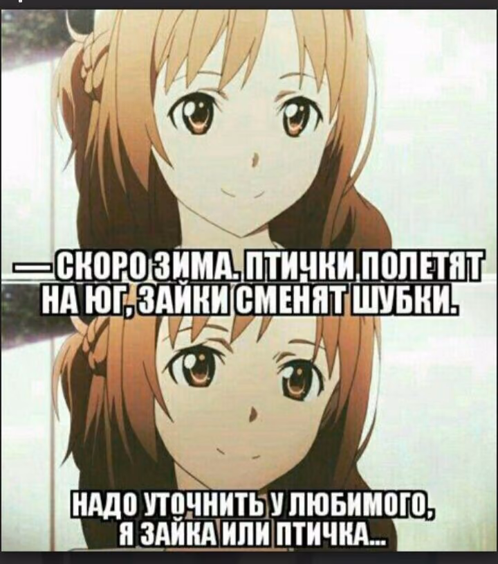 4cca05dcdb191ac373601d29df3fce8f.avif