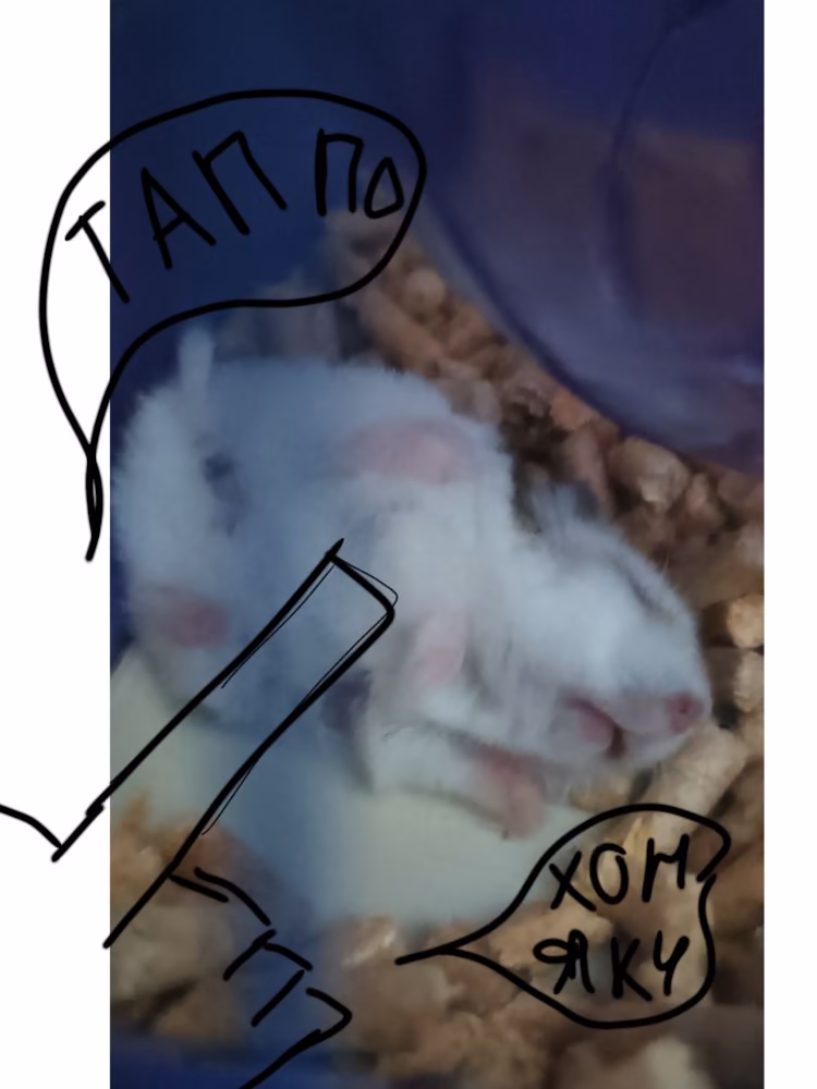 4cd7ef436c5ee5d2ee970fdb02eba8ec.jpg