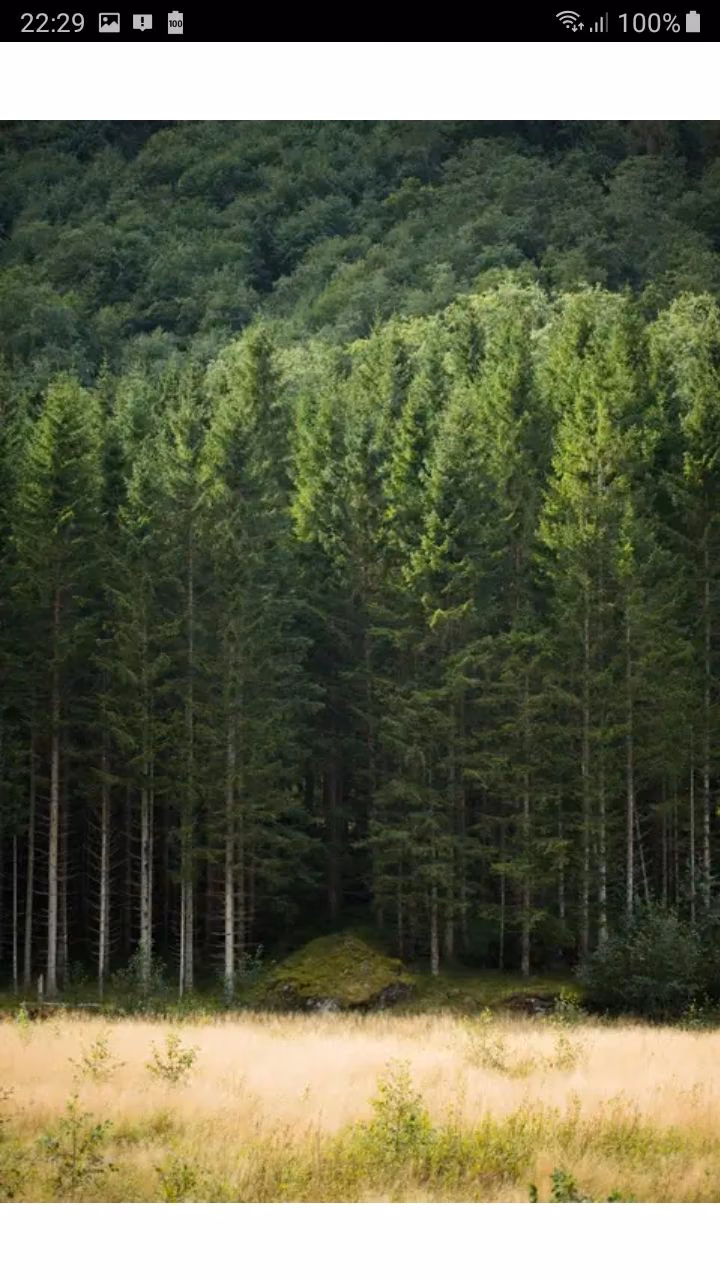 4cddce6d3e64d55760d1ed27ce548070.avif