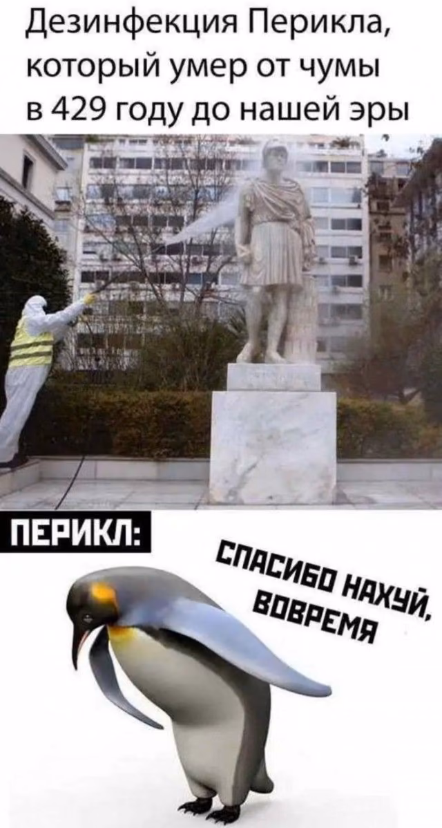 4cea02eabb9775c1daad55c818cb93ab.avif