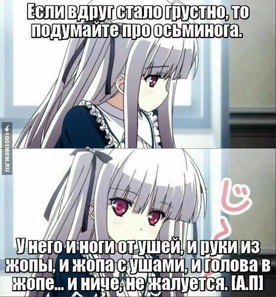 4d037d60a521566b5a5cfac976271622.jpg