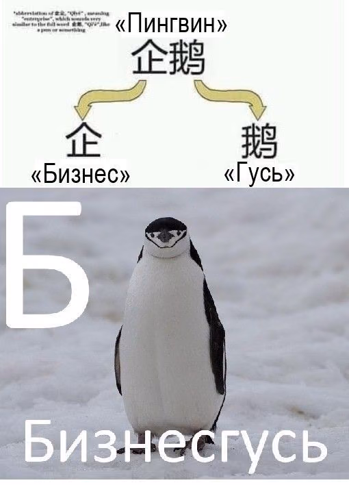 4d0d3823ee10157772645994dae5d348.avif