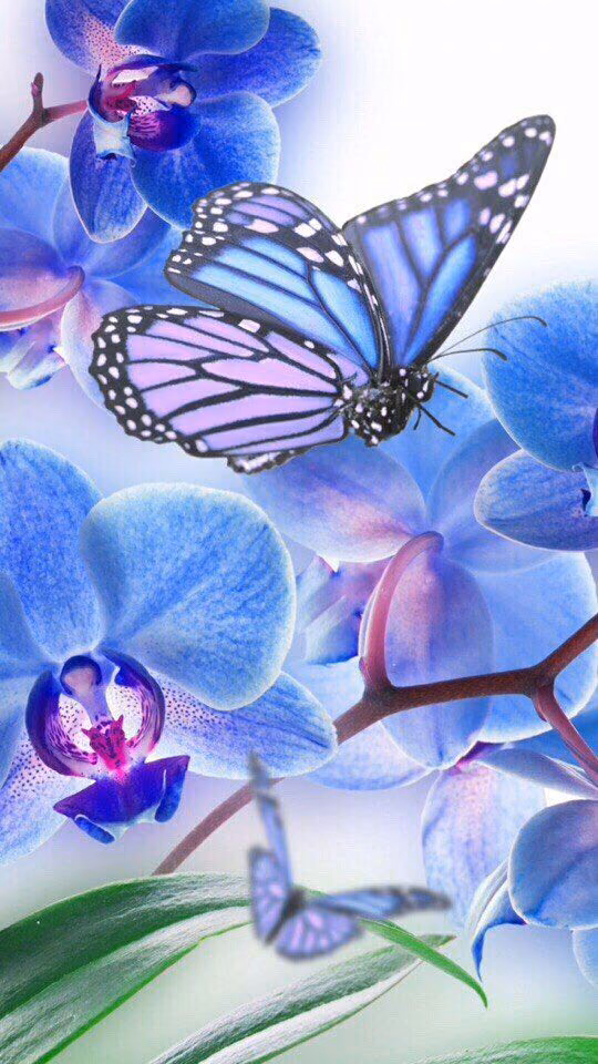 4d0fa40412f60ec3e0af8db86f04a305.avif