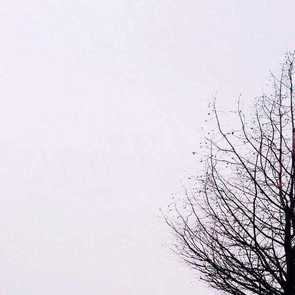 4d3038ee090d201df1a6f41ed20e015e.avif