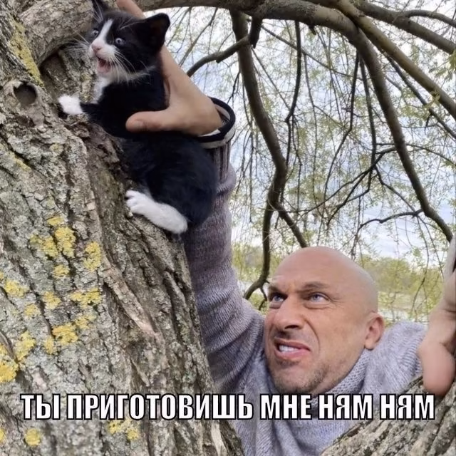 4d3bc1709f6d147e9be05e8070717c46.jpg