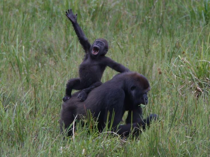 4d4b9c2a07faa73cc6c60d8c30550695.avif