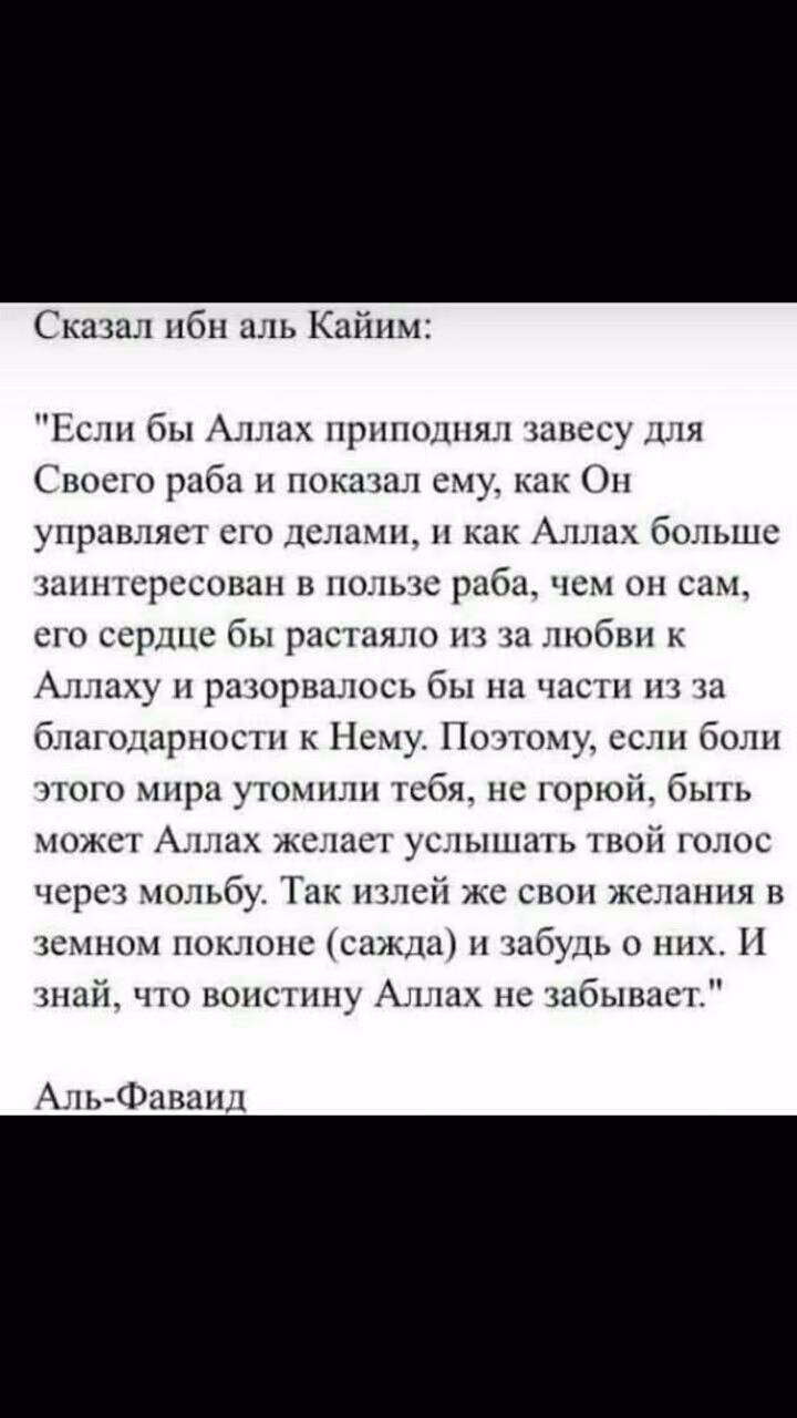 4d4d70f31dcc9eec92d46c0d95943898.jpg
