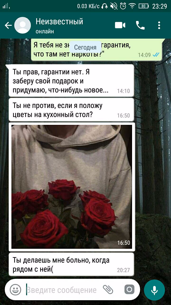 4d5ab7261651d0735a1b2ea60325896a.avif