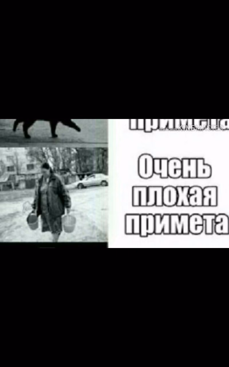 4d60d40f24c6c550235cdbdb44fb76e8.jpg