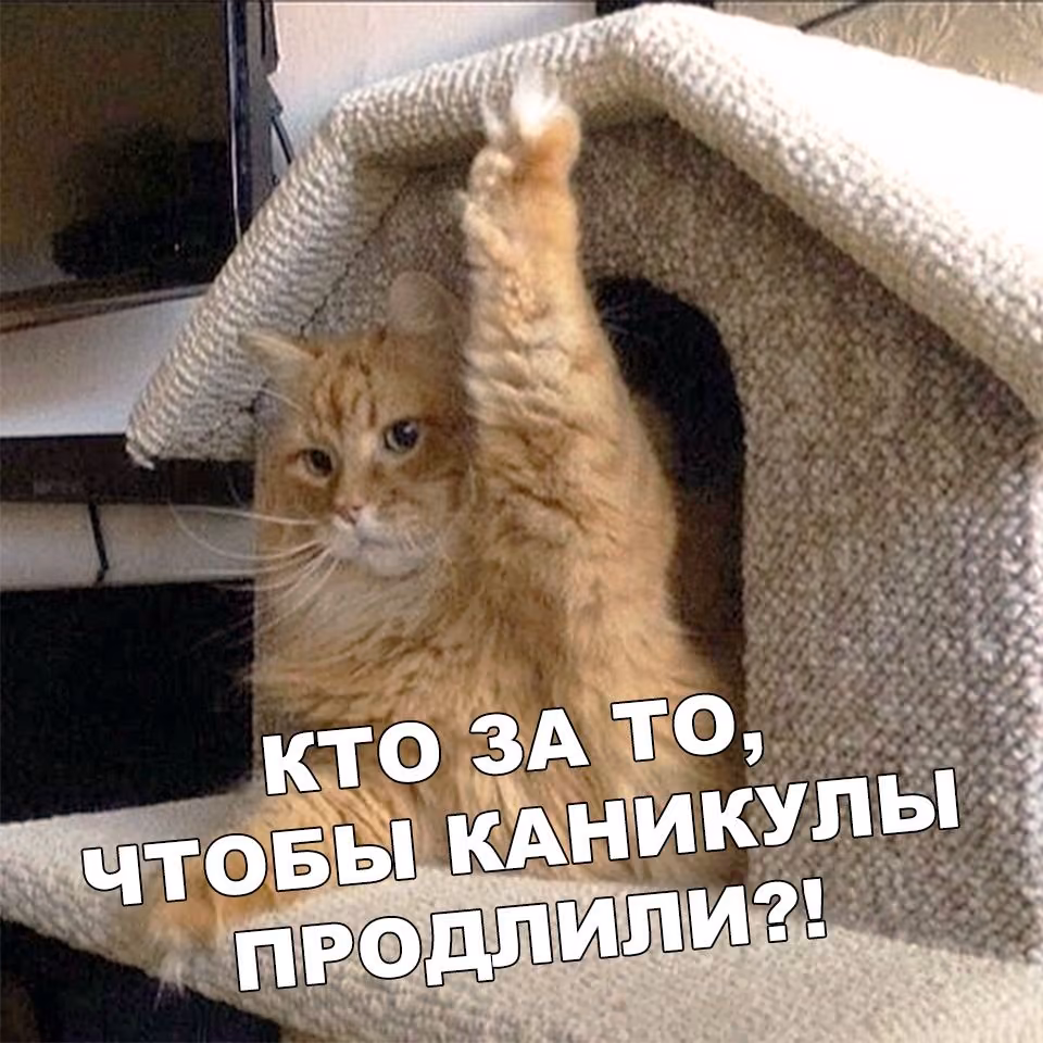 4d92723876e48b817b985109b2d3e048.jpg