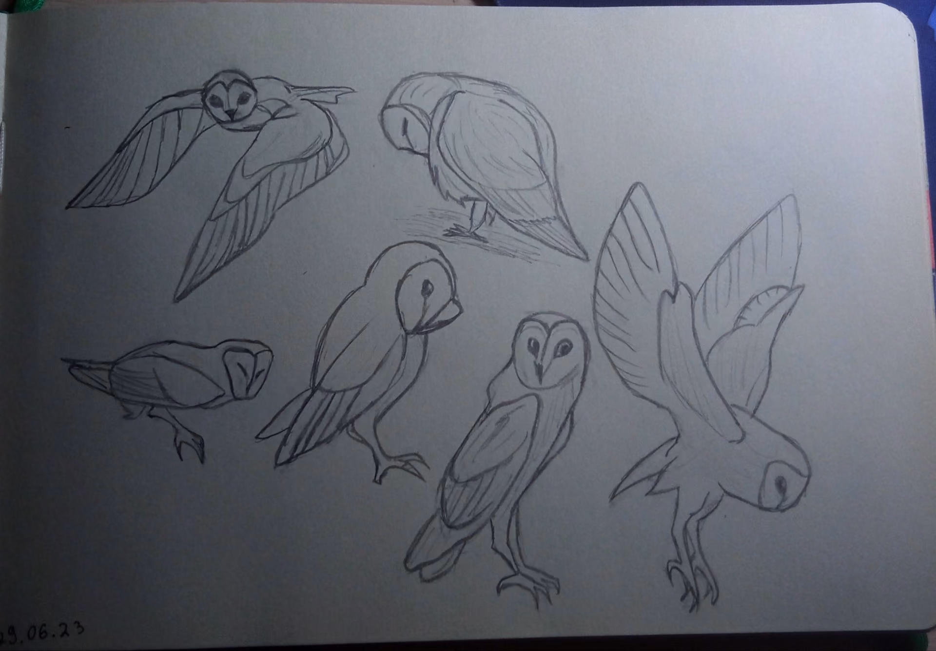 4d9a72e1804b1e6038763c9603d2aa6d.avif