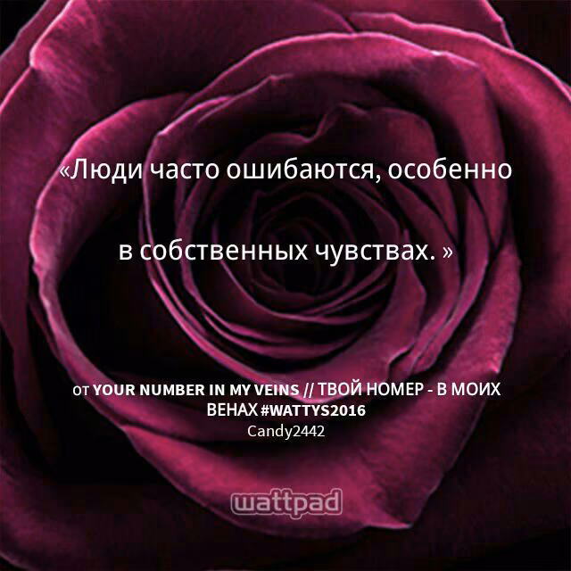 4dac3787f592460ff5dec1f04a9d2d3b.avif