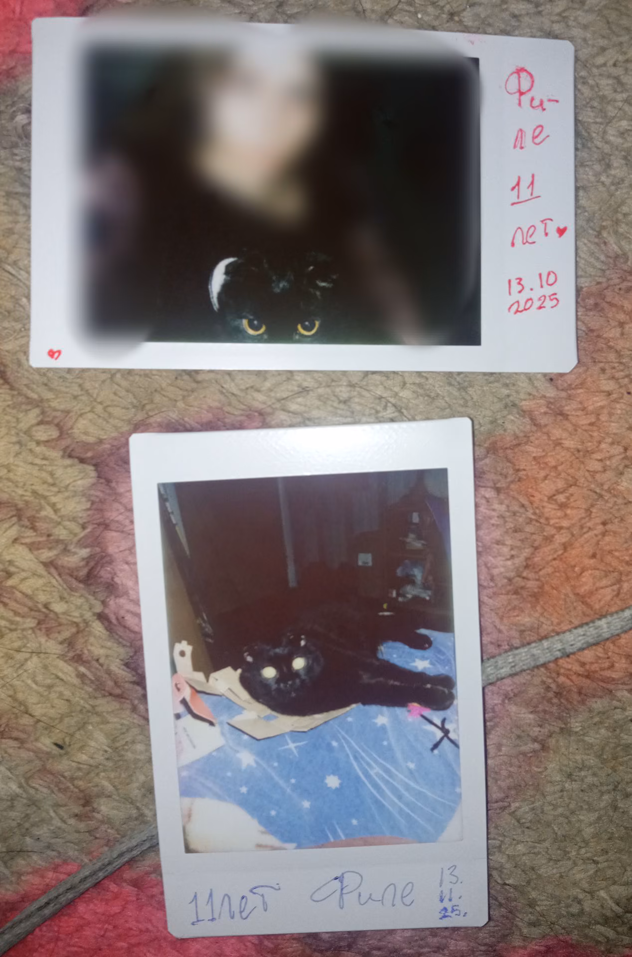 4db8270c30666b75d235143742396f0a.avif