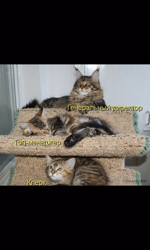 4dcfecf0ca1de496e80204d429858d95.avif