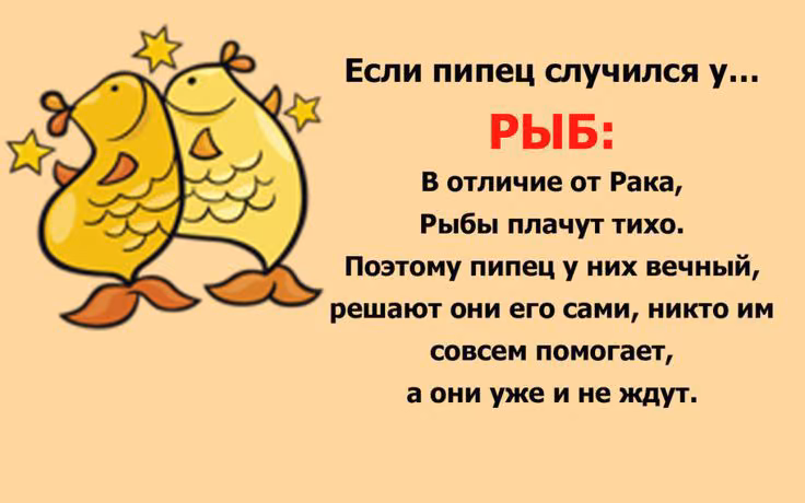4dd69e6a61d5ec2311b7780ca0efd99b.avif