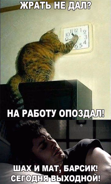 4de107fc8bac4b4ecaaae3c69c115050.jpg