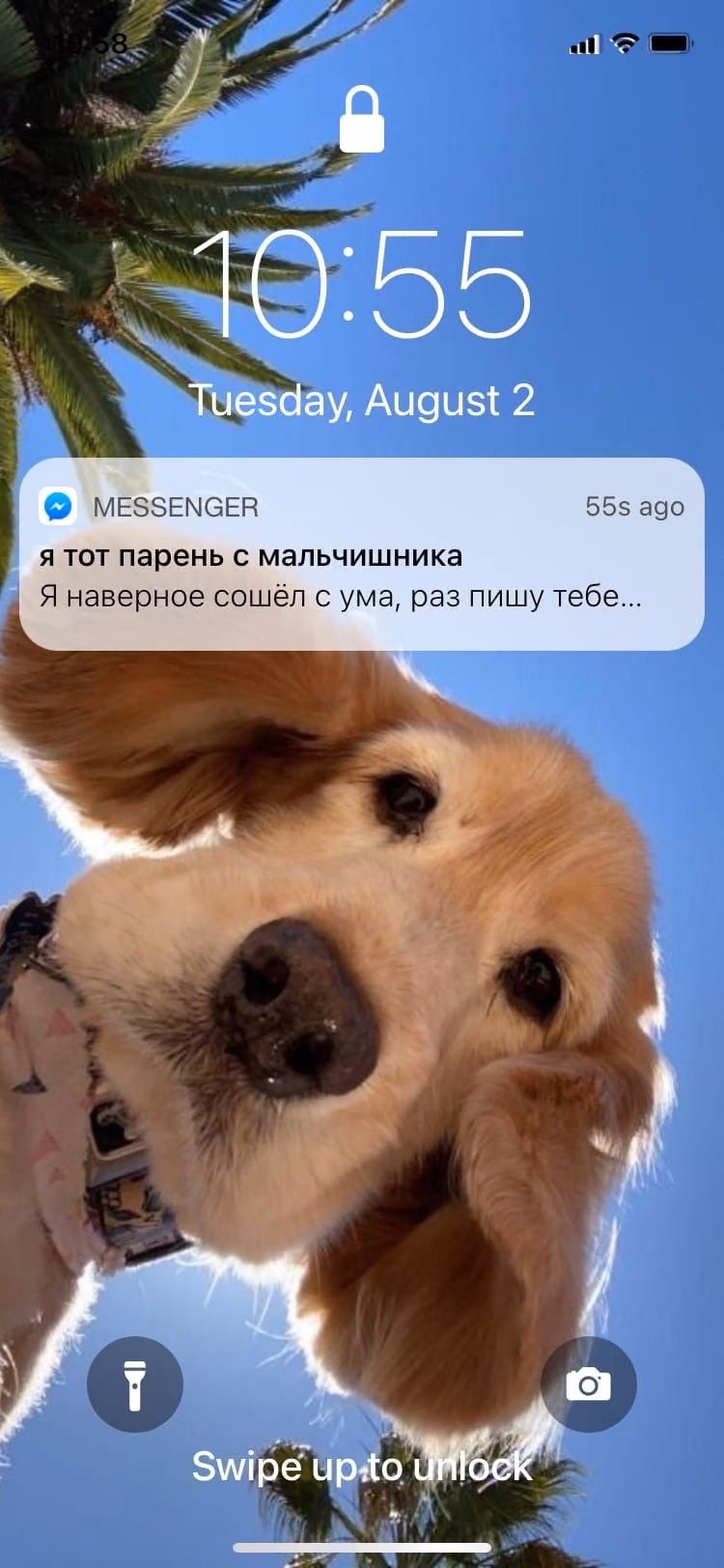 4de4e6e11f33496b0d70c36a8b0bacb8.avif