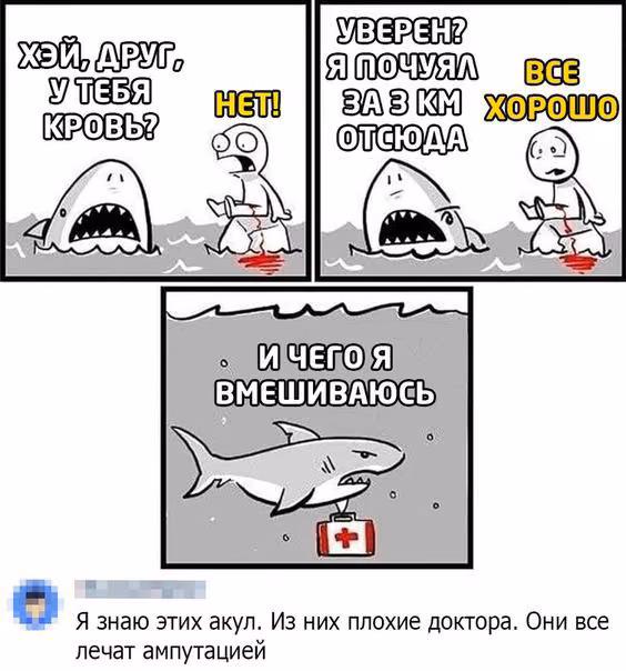 4ded29ebec337b3387b62f76706df52a.avif
