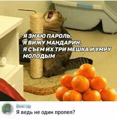 4df00023169dc8a36ab297a0891165d5.jpg