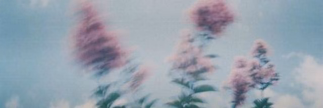 4e07100fd1bcc914c26b6fc662548f7b.jpg