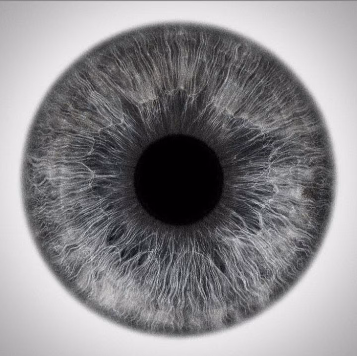 4e0b480c1f1c4676c9cf6c0d611f2c07.avif