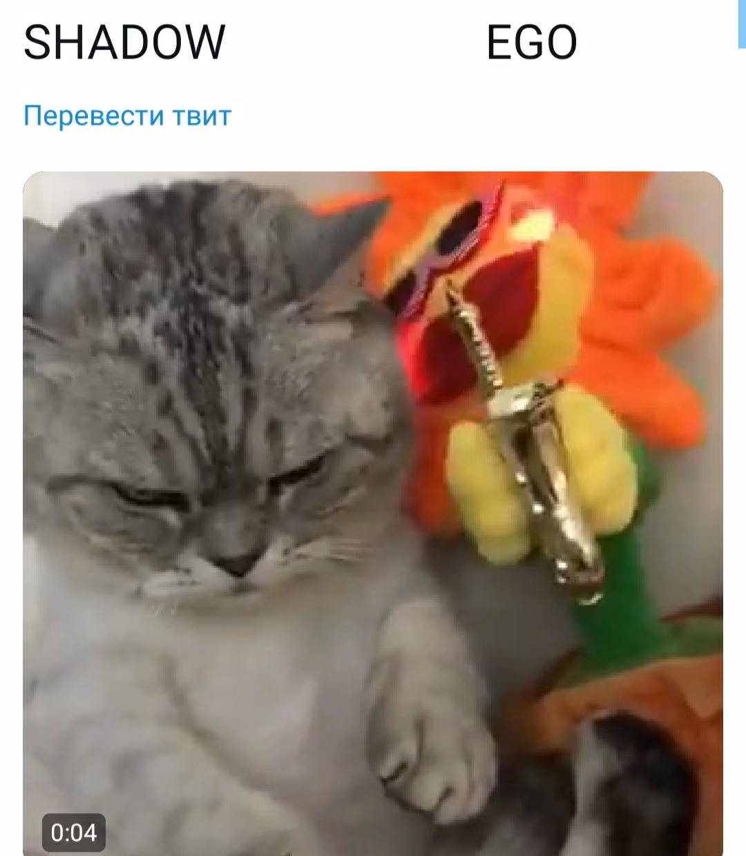 4e23e61e8869bc3557d08c8f271aa77d.jpg