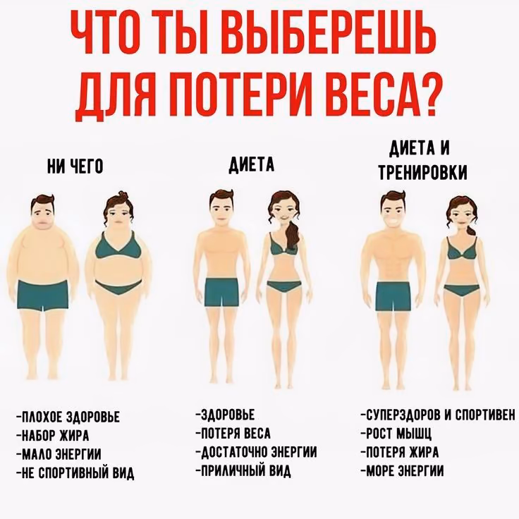 4e2851bfd5cffb4d845778ba715219b8.avif