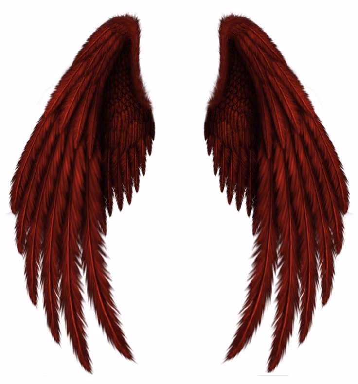 4e3df9b1a36a44ca4505a020e2d9012a.avif
