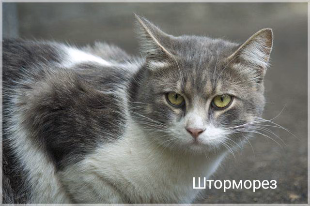 4e44e24bbdefe1aff46a12906fb3244a.jpg