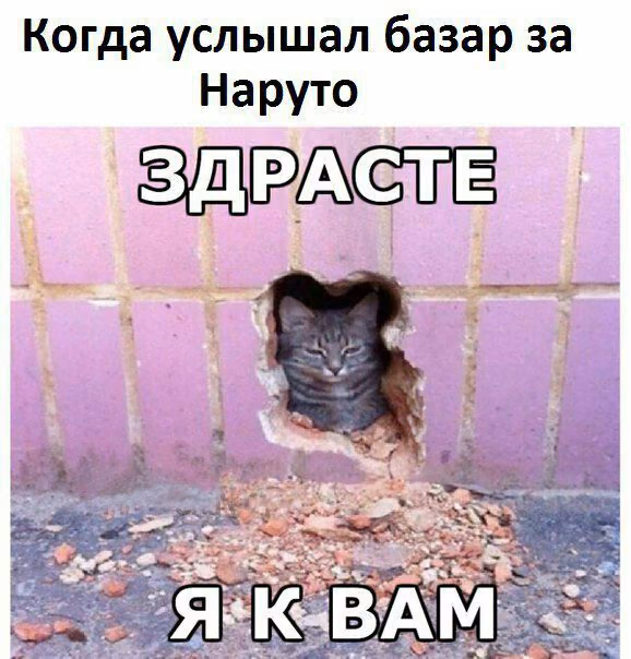 4e4dcdb08202be3e25b4250bf42eb93d.jpg