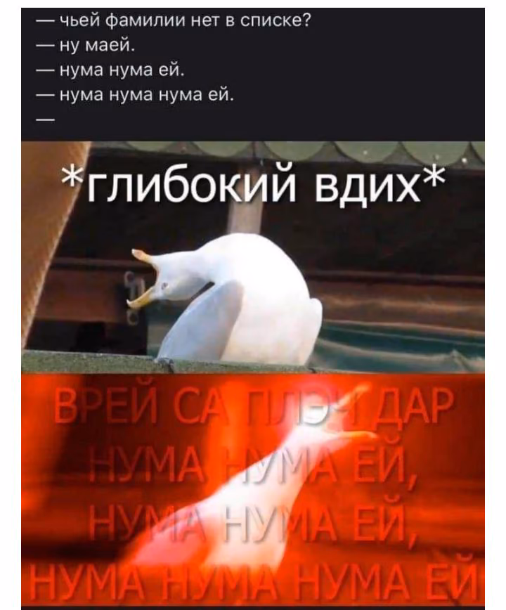 4e50a1629852a250c0b32f3d8125863c.jpg