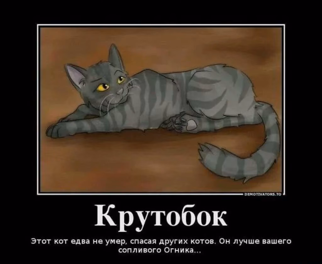 4e5650d36d40ae3421152d916e94b5f8.jpg