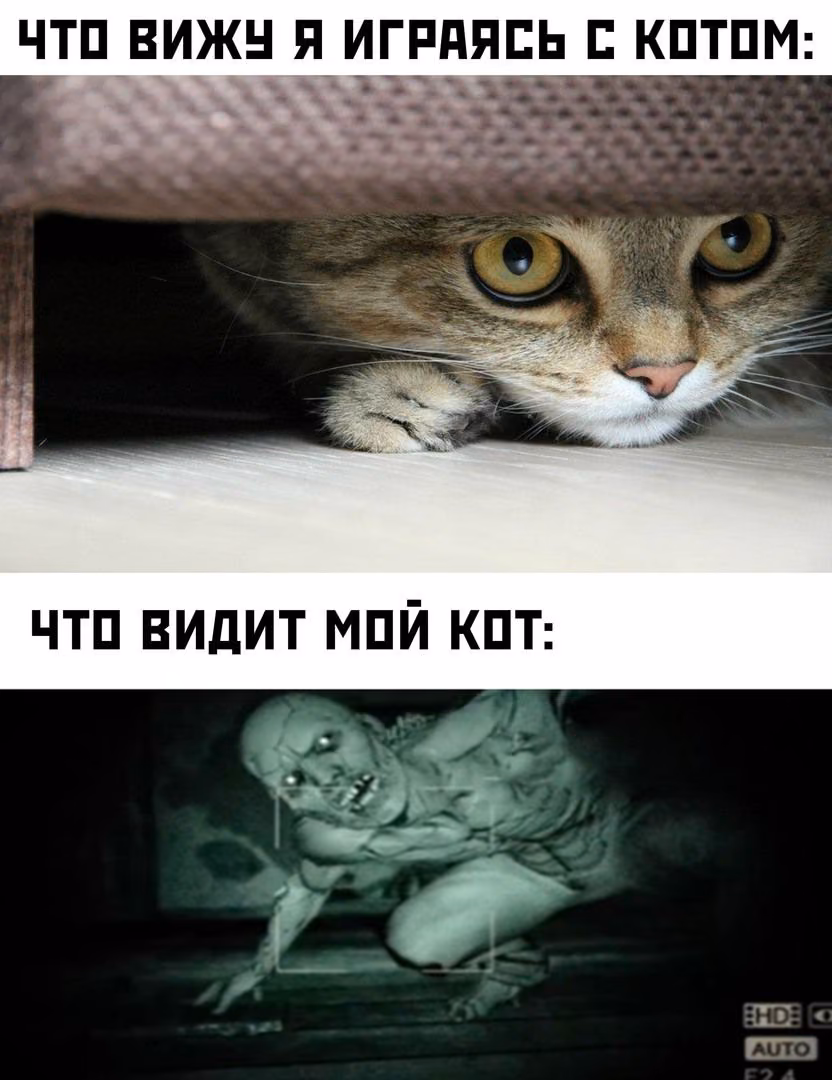 4e65b450cda56e272818a1479e1bb156.jpg