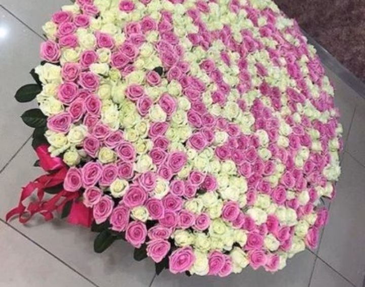 4e67493f23acd3266fb067800a802b2f.avif