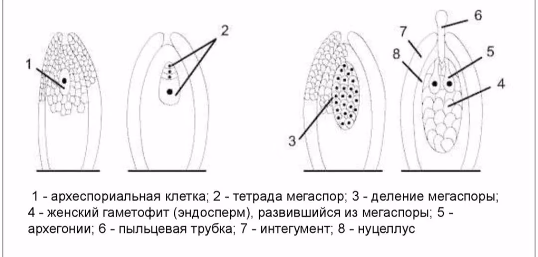 4e678b3e633c5b237eb421819827581a.jpg