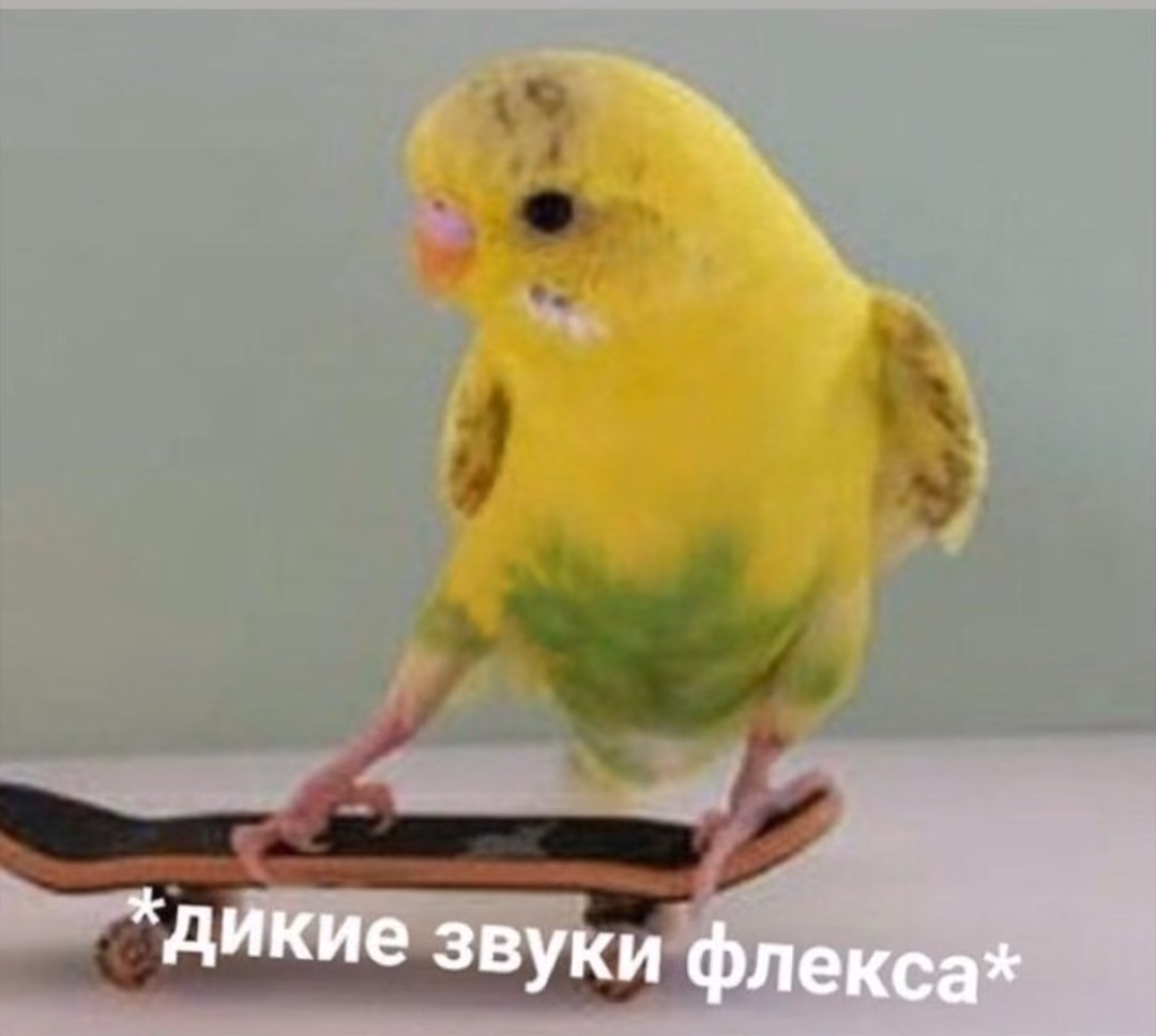 4e747eeacb0c8f73831fb9ea58dc7b3c.avif