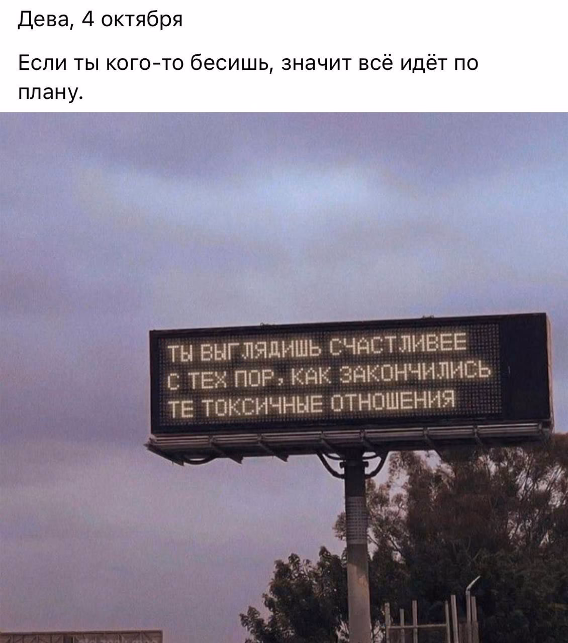 4e8e822d9f365bcb7ce73308a24c132f.jpg