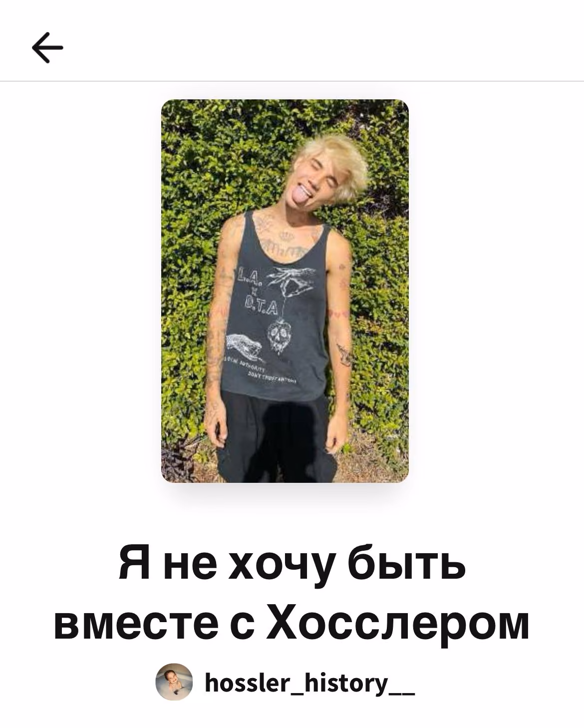 4e920d8b804958a9c86d0fe0547b4a39.avif