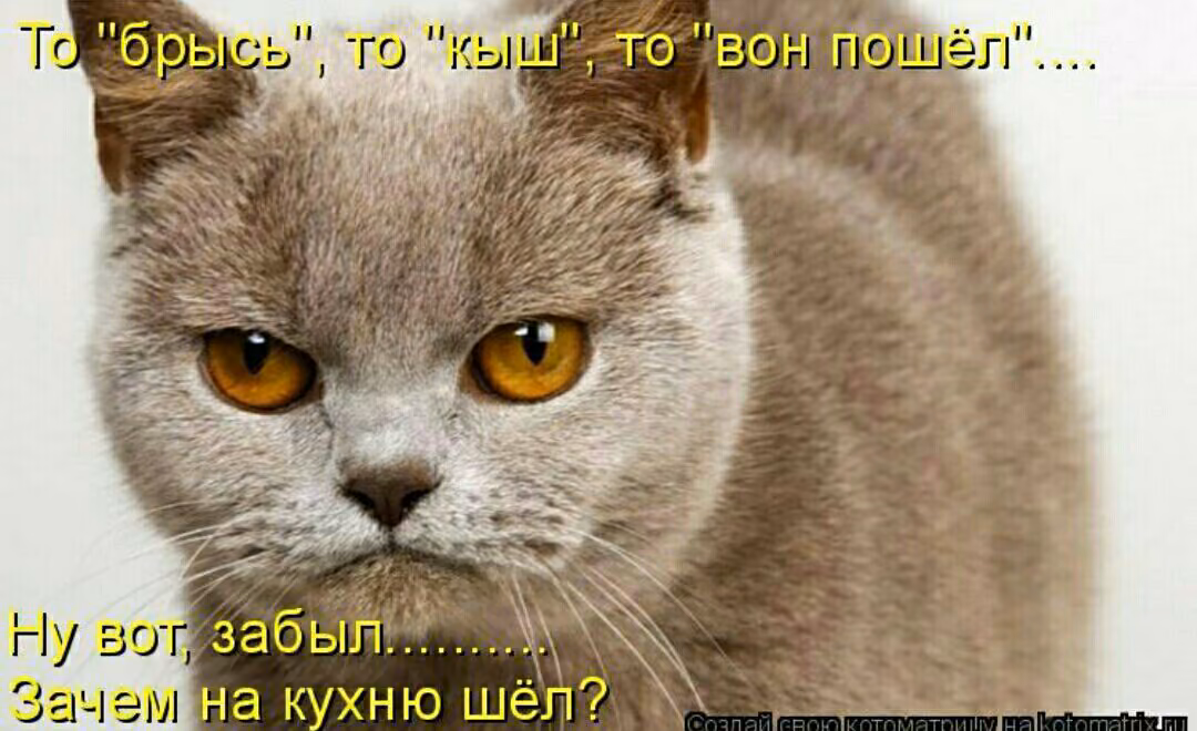 4e9e291c395e5f1c0c98b23eb3b62e45.jpg