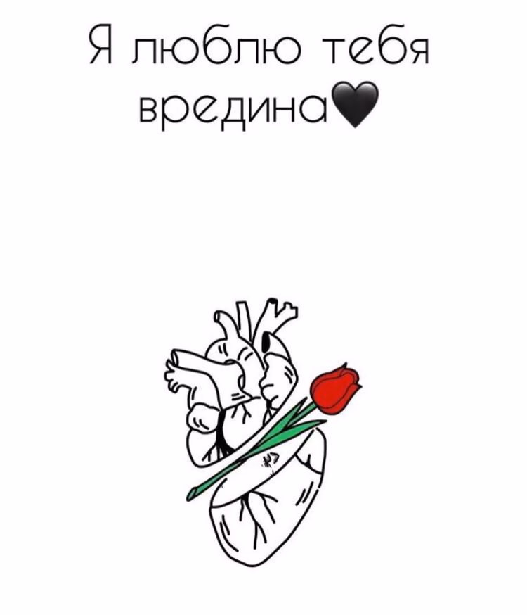 4e9fd63218ece9502388d9505a93c8f0.jpg