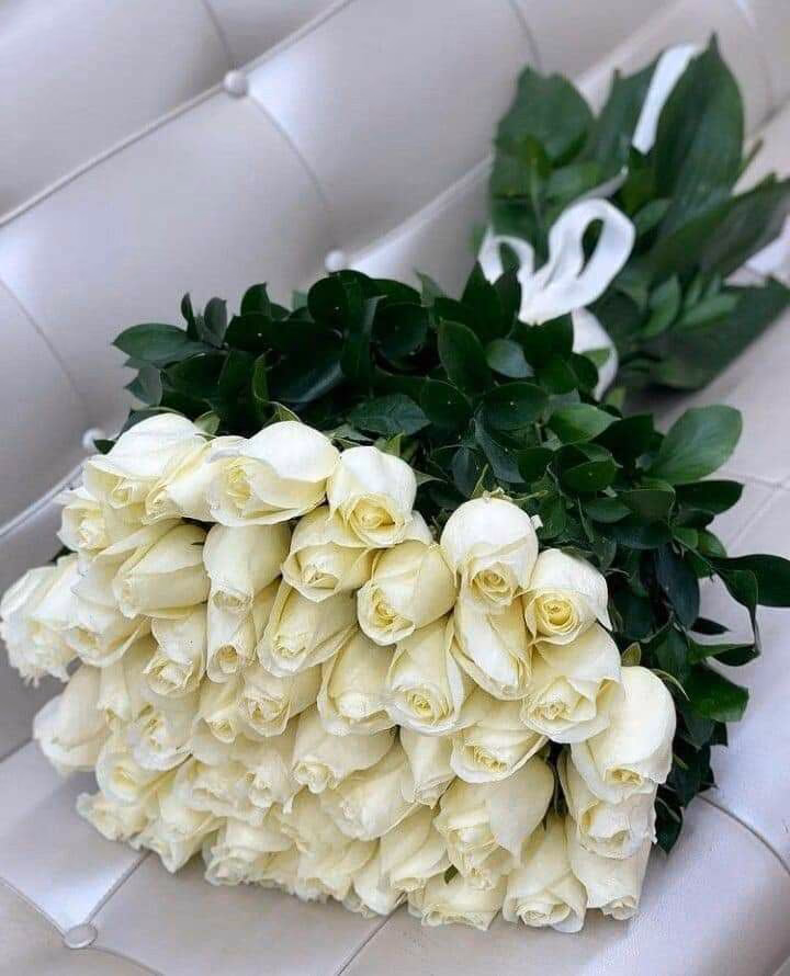 4ea062a77fa792f2d488763cb63c6a6d.avif