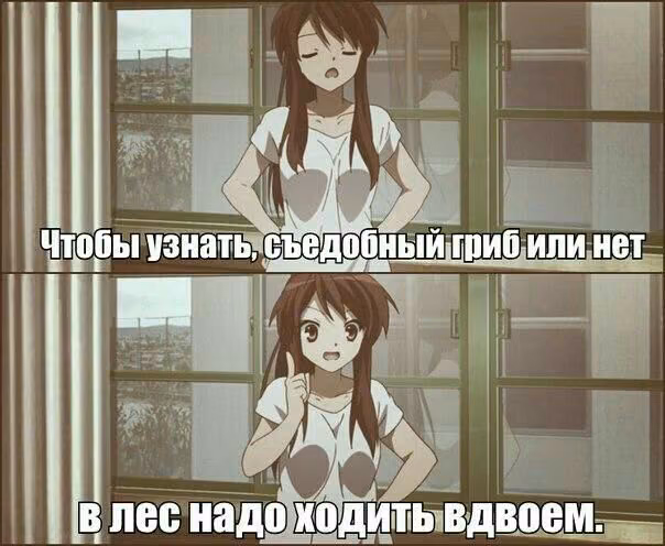 4eb136d811eb146a0f390a55539612f7.jpg