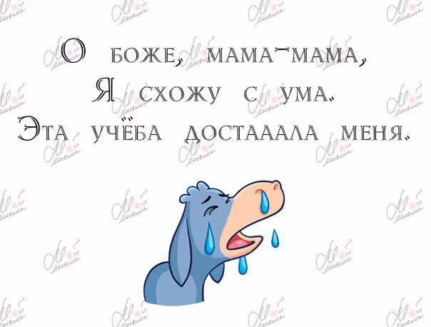 4ecd305aa8873720e05ee902ab7084bf.jpg
