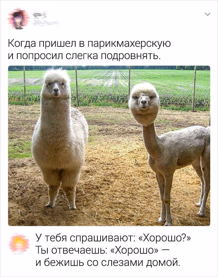 4ee226ecdcb979a400f0368e0e1c0e0e.avif
