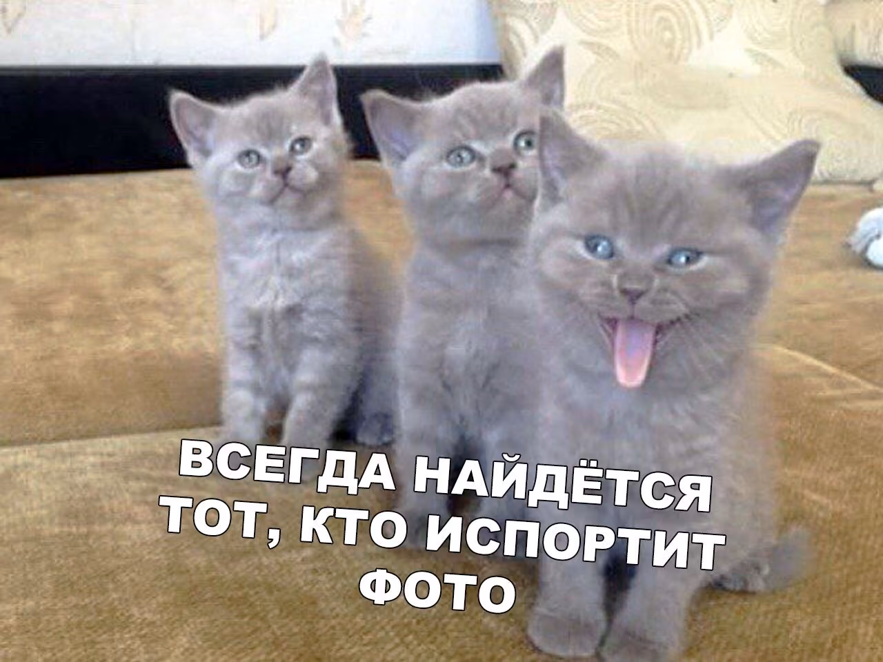 4eea07457c0f7e639315a90bcd473a54.jpg