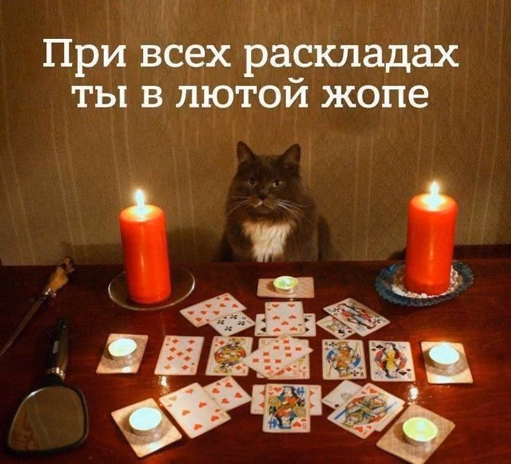 4efce619a3cf6e25637010a35a832a04.jpg